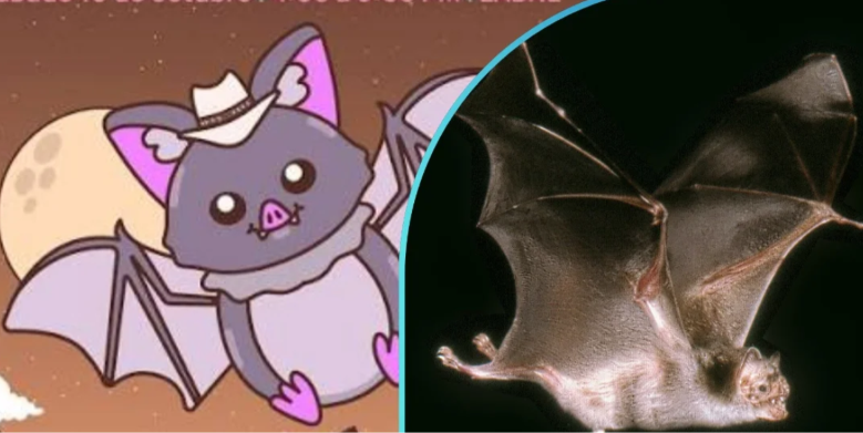Bat Fest 2026 llegará a Monterrey con actividades sobre conservación de murciélagos